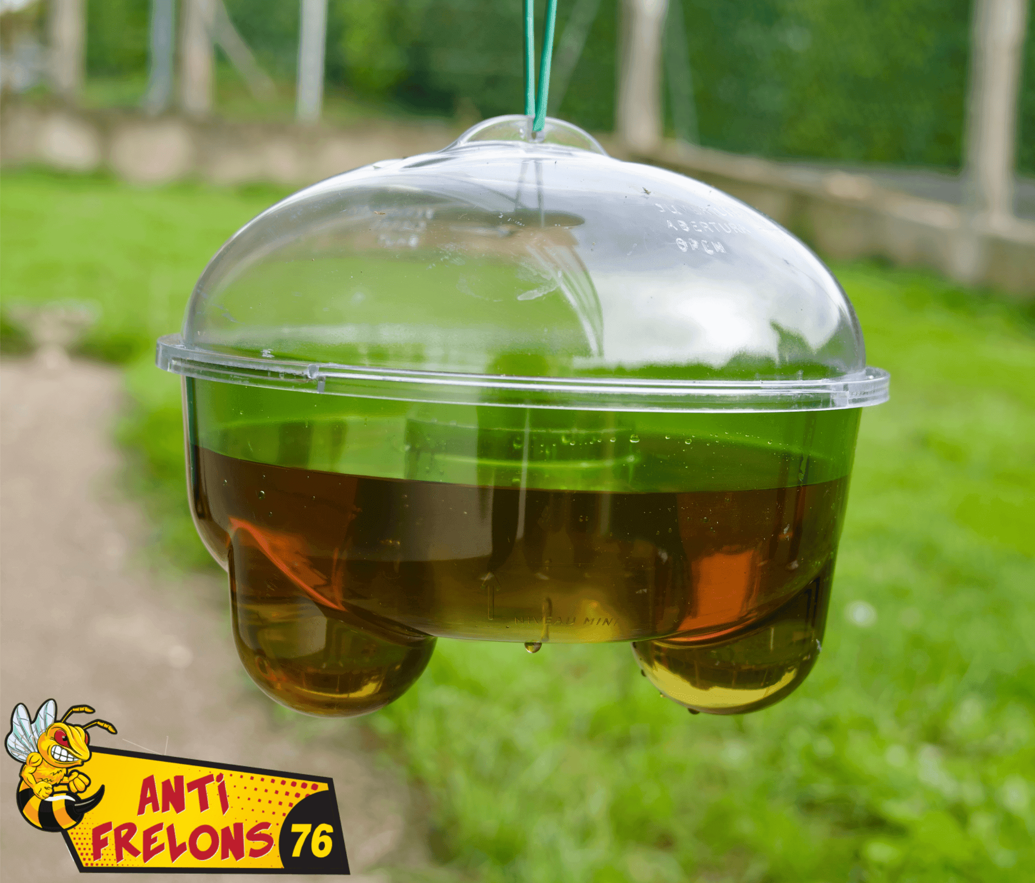 Le piégeage de printemps contre les reines de frelons asiatiques